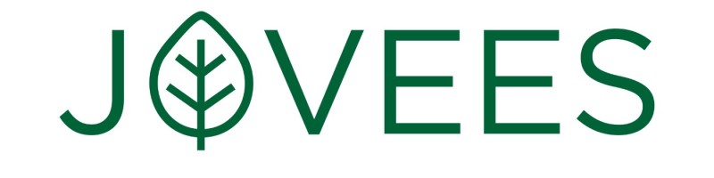 IBM Logo